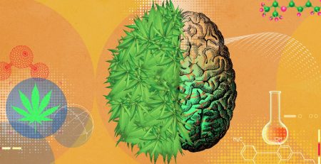 Effects and Risks of Using THC for Anxiety