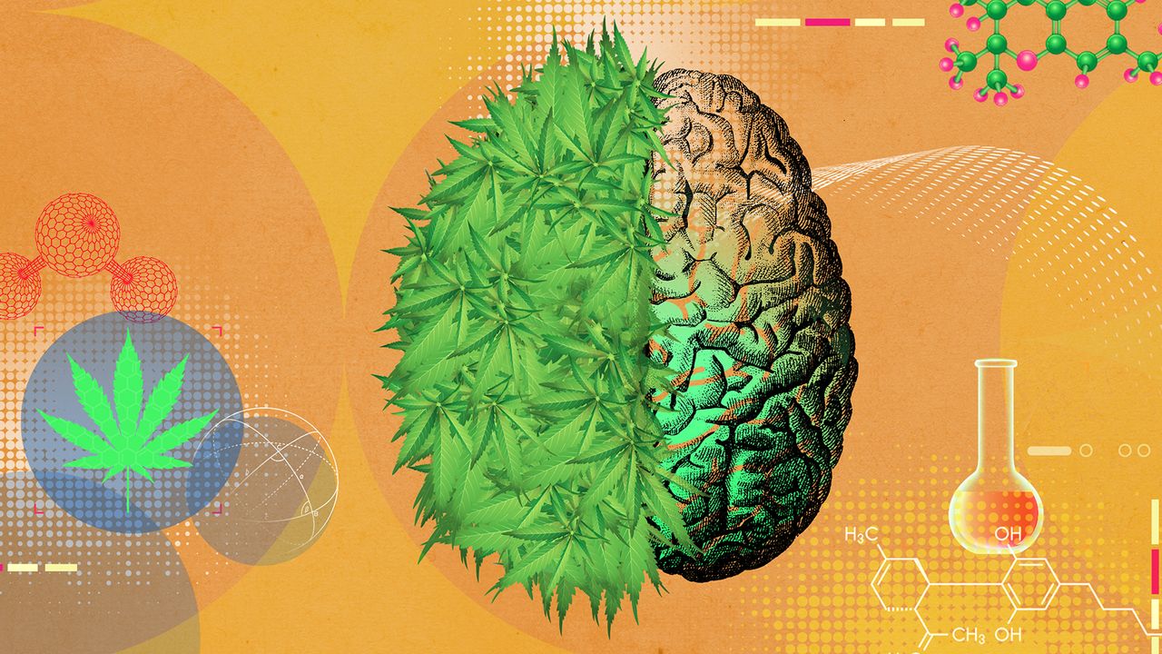 Effects and Risks of Using THC for Anxiety