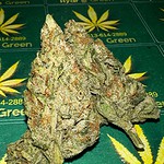 sour moonrocks