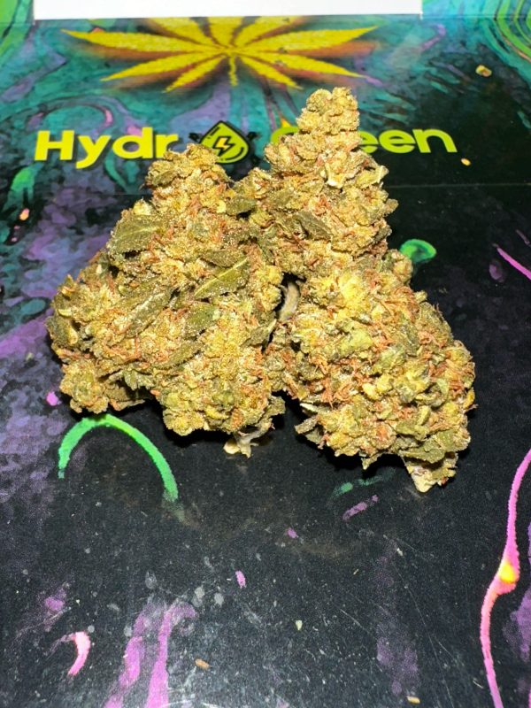 Blue Haze Vibrant cannabis buds on Hydro Green Shop branded background showcasing premium quality marijuana.