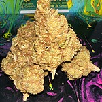 CBD cannabis buds, organic marijuana flowers, high-quality hemp buds, premium cannabis flower, Hydro Green Shop products.