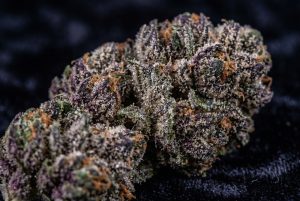 AAAA Craft Cannabis Ottawa — Premium Quad Flower Delivered Same-Day in 30-90 Min