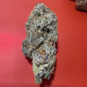 Northern Light Flower Hybrid 34% THC cannabis strain for Ottawa weed delivery