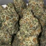 Pink Frosty Flower Hybrid 38% THC cannabis strain for Ottawa weed delivery
