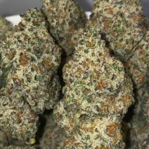Pink Frosty Flower Hybrid 38% THC cannabis strain for Ottawa weed delivery