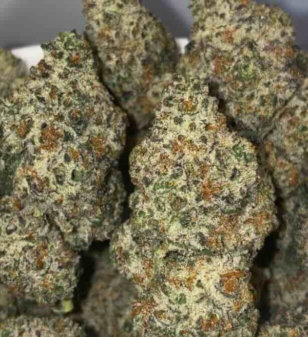 Pink Frosty Flower Hybrid 38% THC cannabis strain for Ottawa weed delivery Pink Frosty Flower Hybrid 38% THC cannabis strain for Ottawa weed delivery