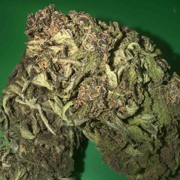 Purple Haze Flower Sativa 28% THC cannabis strain for Ottawa weed delivery Purple Haze Flower Sativa 28% THC cannabis strain for Ottawa weed delivery