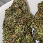BC Greasy Pink Flower Indica 35% THC cannabis strain for Ottawa weed delivery