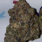 BC Pink Pluto Flower Indica 36% THC cannabis strain for Ottawa weed delivery