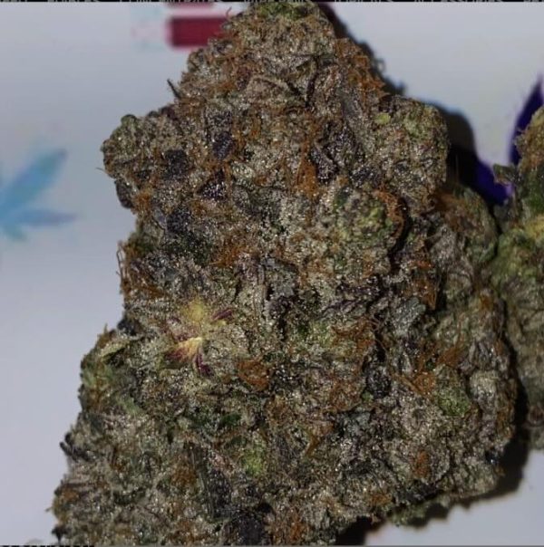 BC Pink Pluto Flower Indica 36% THC cannabis strain for Ottawa weed delivery
