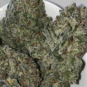 BC Toad Venom Flower Hybrid 35% THC cannabis strain for Ottawa weed delivery