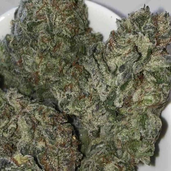 BC Toad Venom Flower Hybrid 35% THC cannabis strain for Ottawa weed delivery