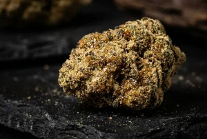Moon Rocks, Kief & Twax in Ottawa — The Ultimate High-Potency Concentrate Guide