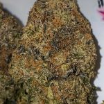 Astro Pink Flower Indica 34% THC cannabis strain for Ottawa weed delivery