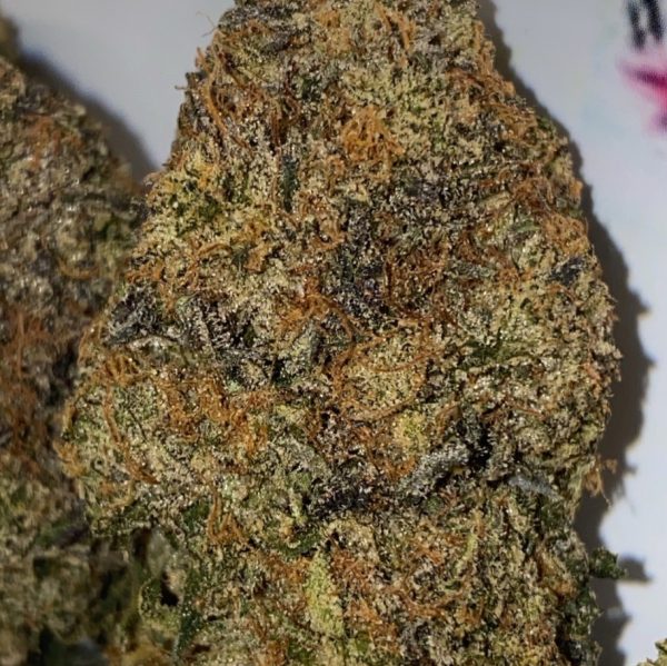 Astro Pink Flower Indica 34% THC cannabis strain for Ottawa weed delivery