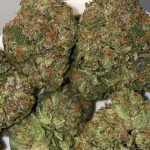 Gas Bomb Flower Indica 33% THC cannabis strain for Ottawa weed delivery