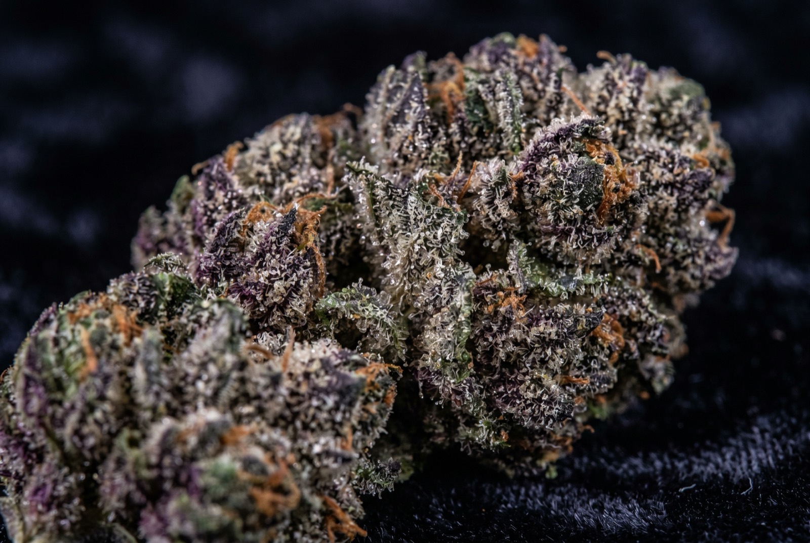 AAAA craft cannabis flower delivered in Ottawa — Hydro Green Shop