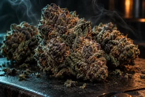 Gas Strains Explained: Why ‘Gassy’ Weed Is So Popular