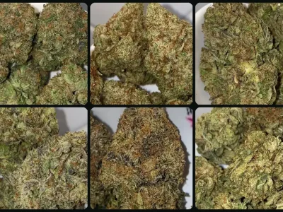 Six jars of cannabis flower labelled Gas Bomb, White Runtz, Guava Cake, Gas Mask, Astro Pink and Grape Fruit on a shop counter