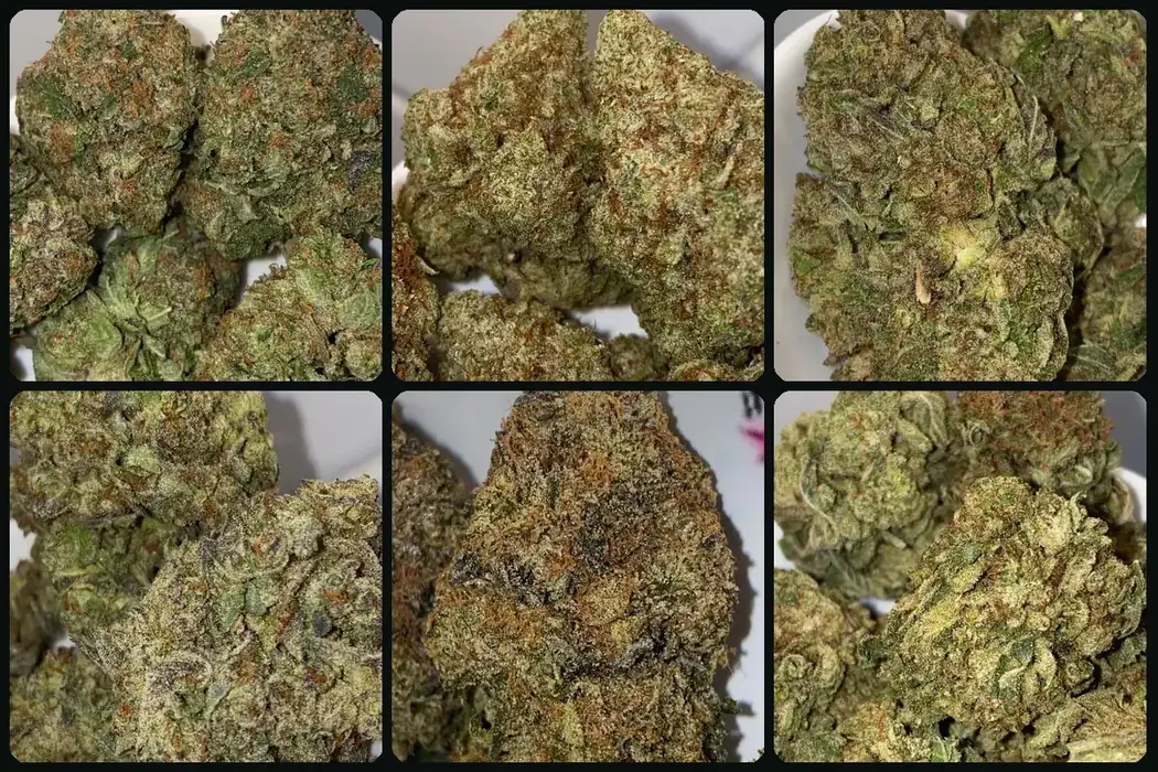 Six jars of cannabis flower labelled Gas Bomb, White Runtz, Guava Cake, Gas Mask, Astro Pink and Grape Fruit on a shop counter